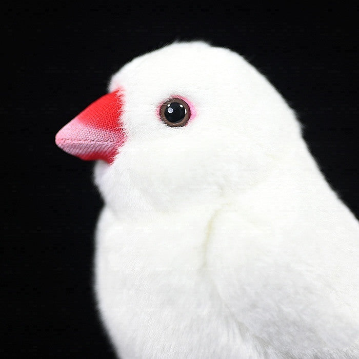 Fairy Zoo | White Mandarin Bird