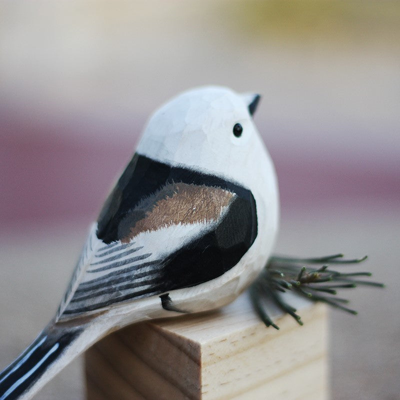northern long tailed tit