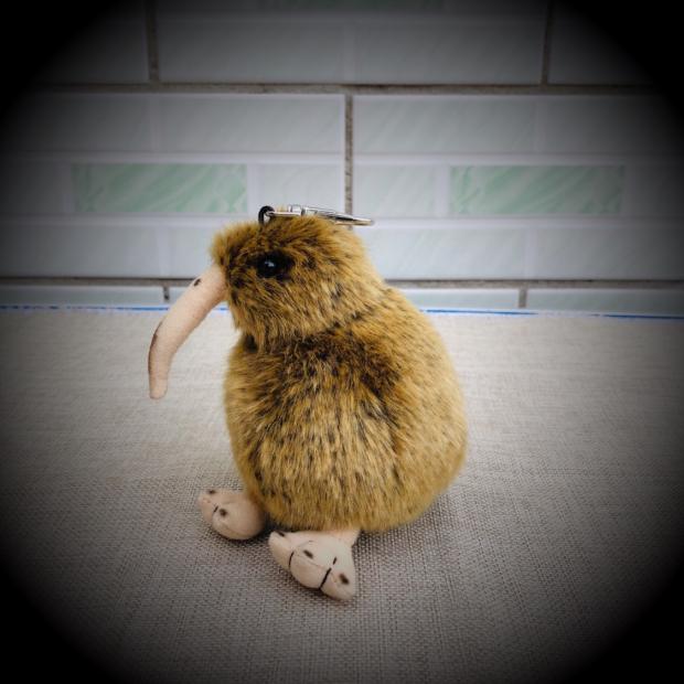 Fairy Zoo | Kiwi bird