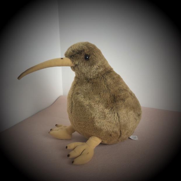 Fairy Zoo | Kiwi bird
