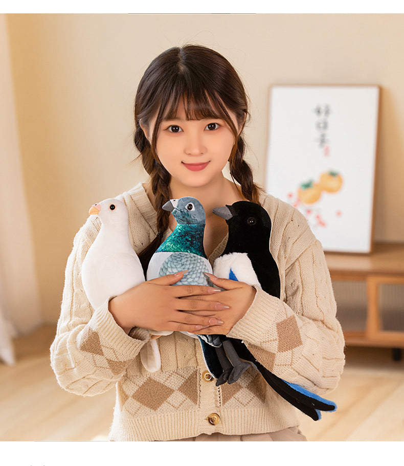 Fairy Zoo | Exotic Pigeons