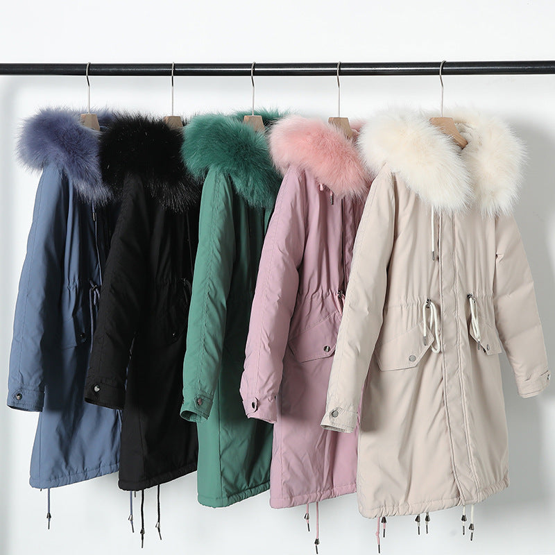 Cotton | Rain & Wind