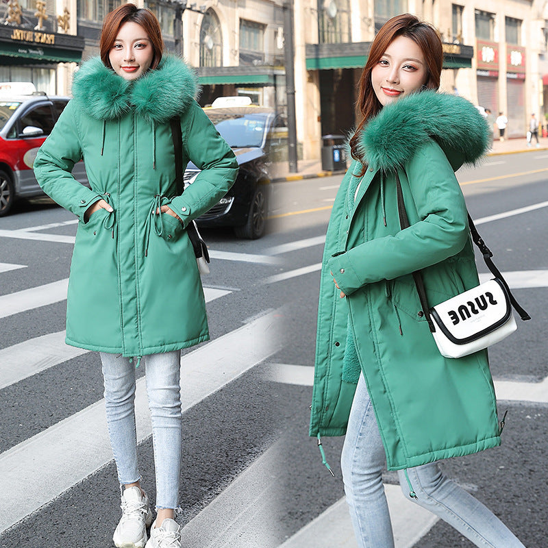 Cotton | Rain & Wind