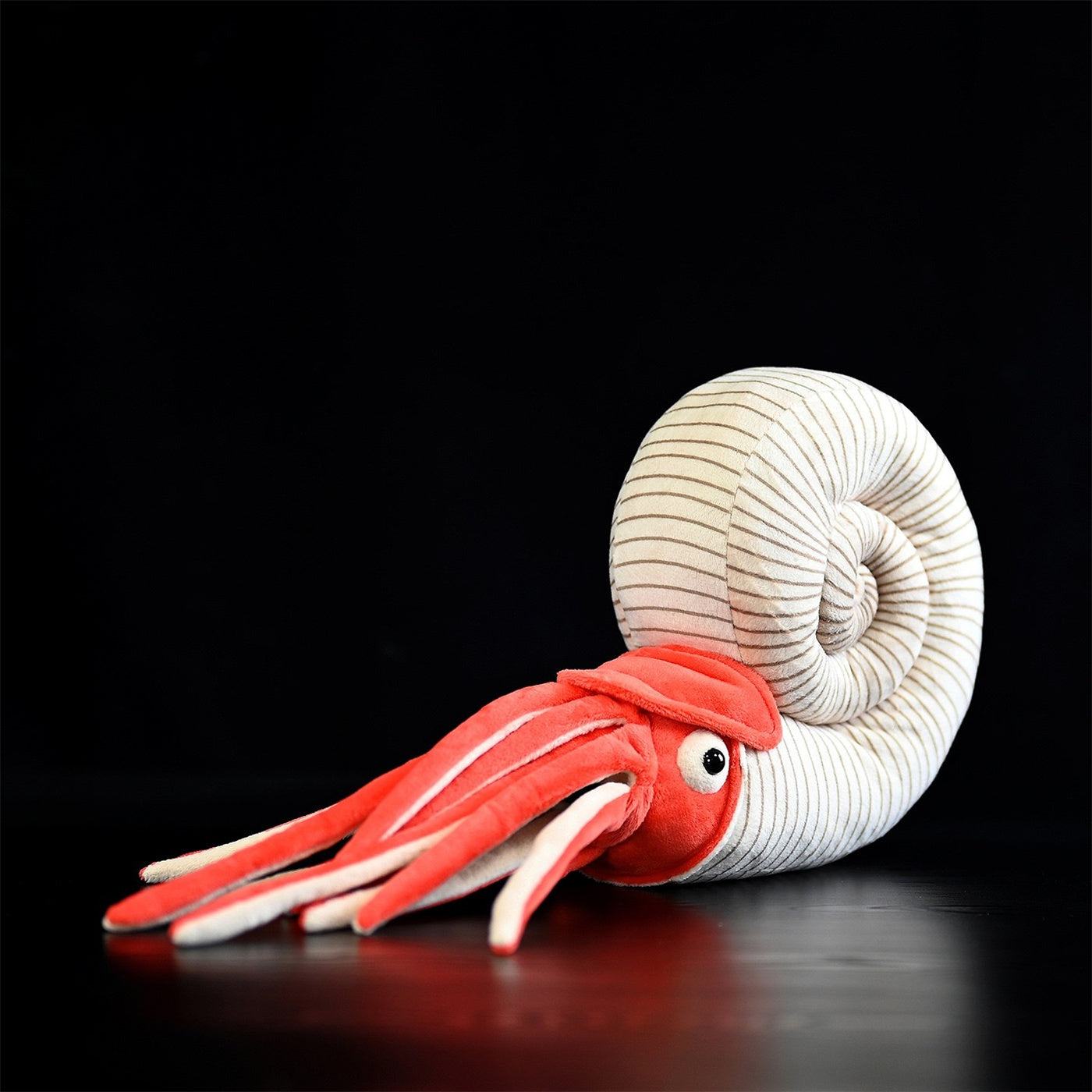 Fairy Zoo | Paleontology Series Ammonite Plush