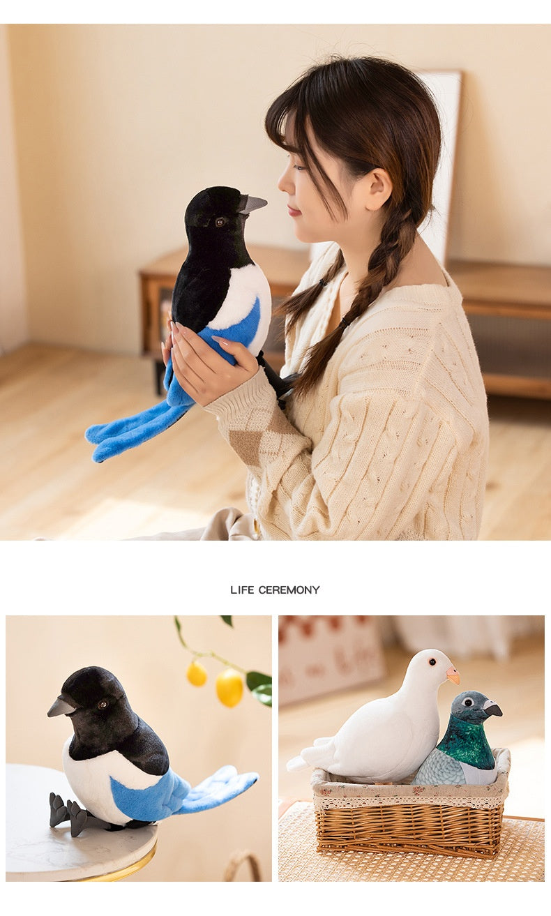 Fairy Zoo | Exotic Pigeons