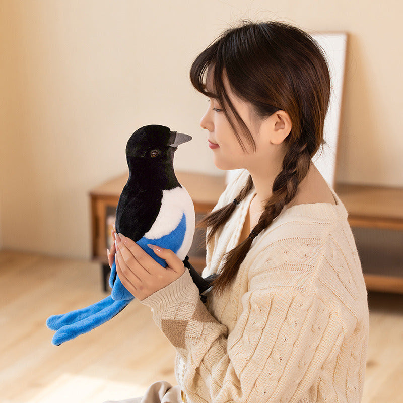 Fairy Zoo | Exotic Pigeons
