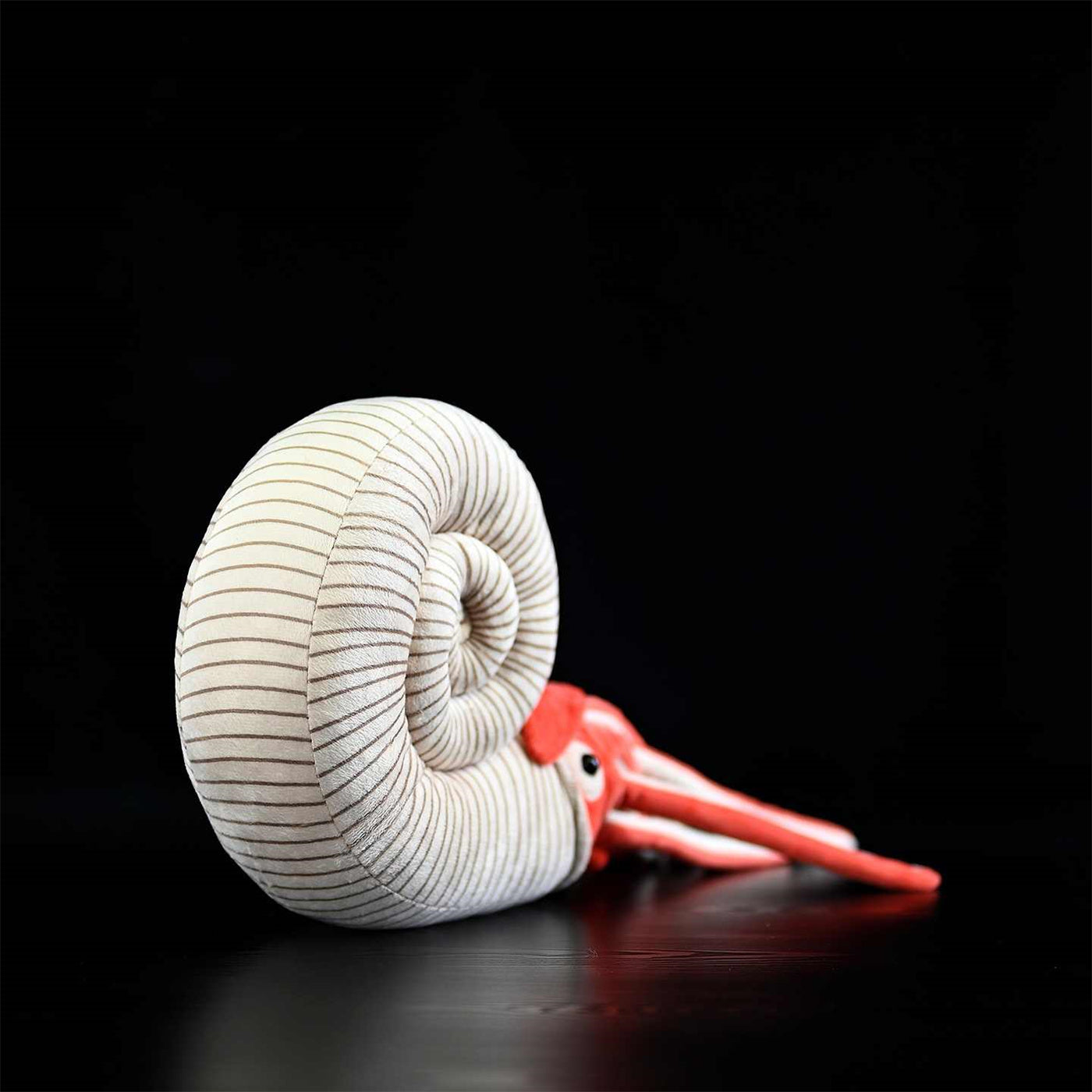 Fairy Zoo | Paleontology Series Ammonite Plush