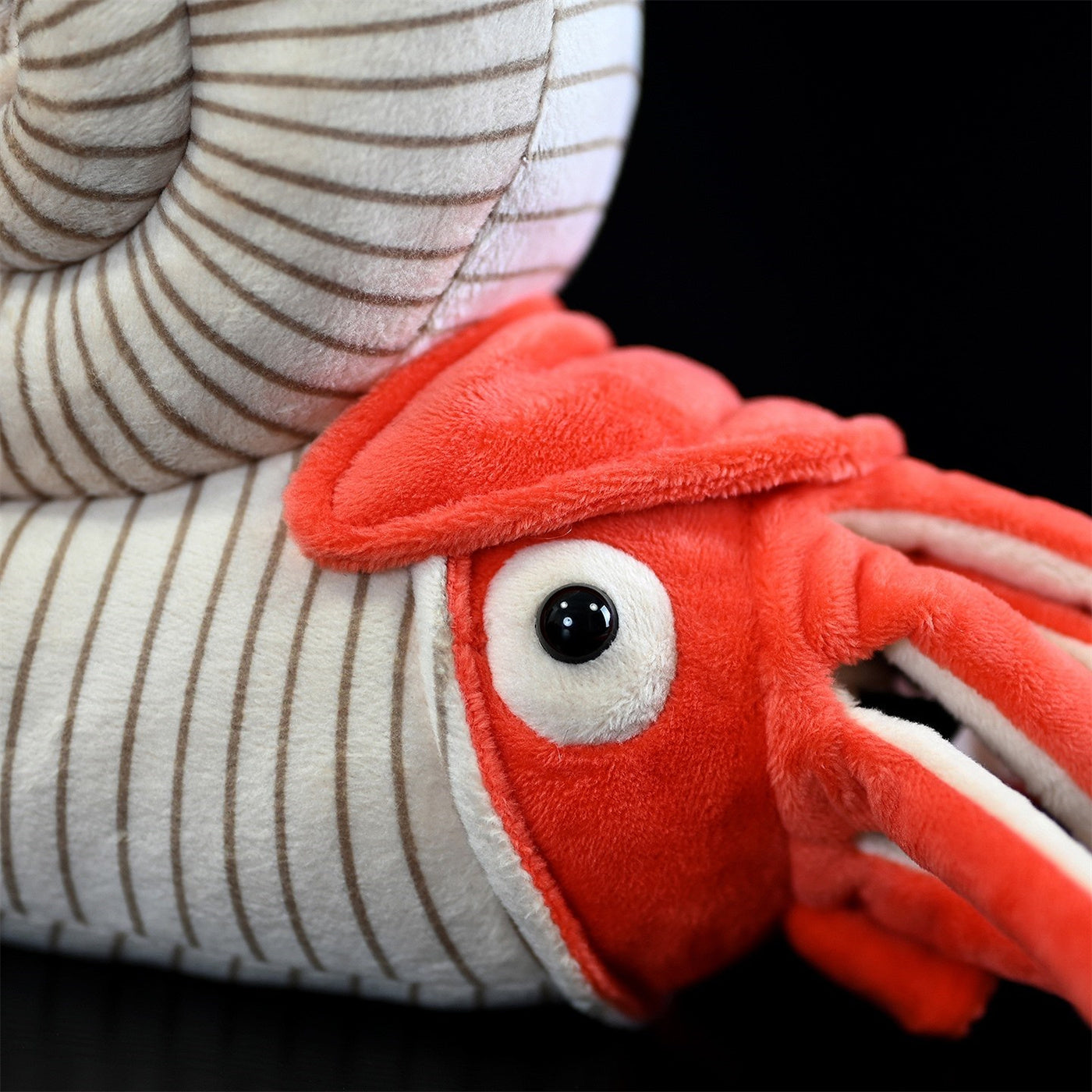 Fairy Zoo | Paleontology Series Ammonite Plush