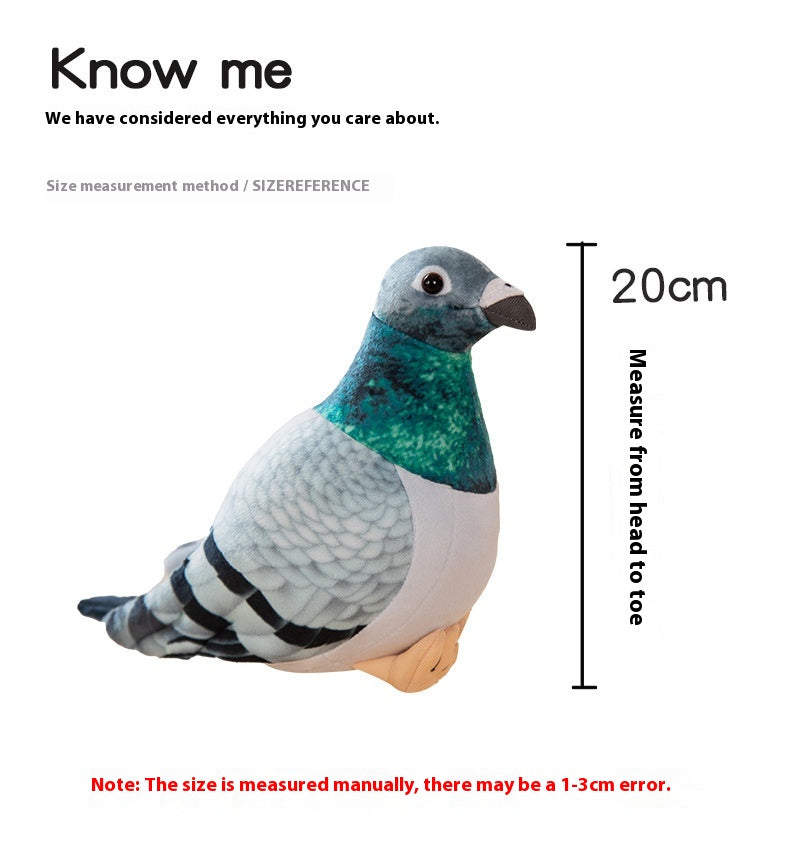 Fairy Zoo | Exotic Pigeons