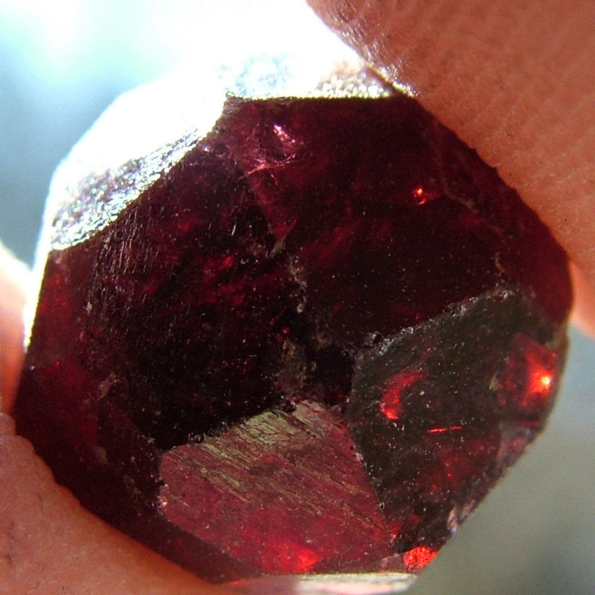 Red Garnet