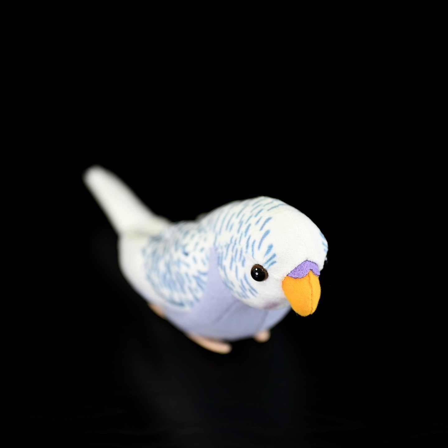 Fairy Zoo | Budgie