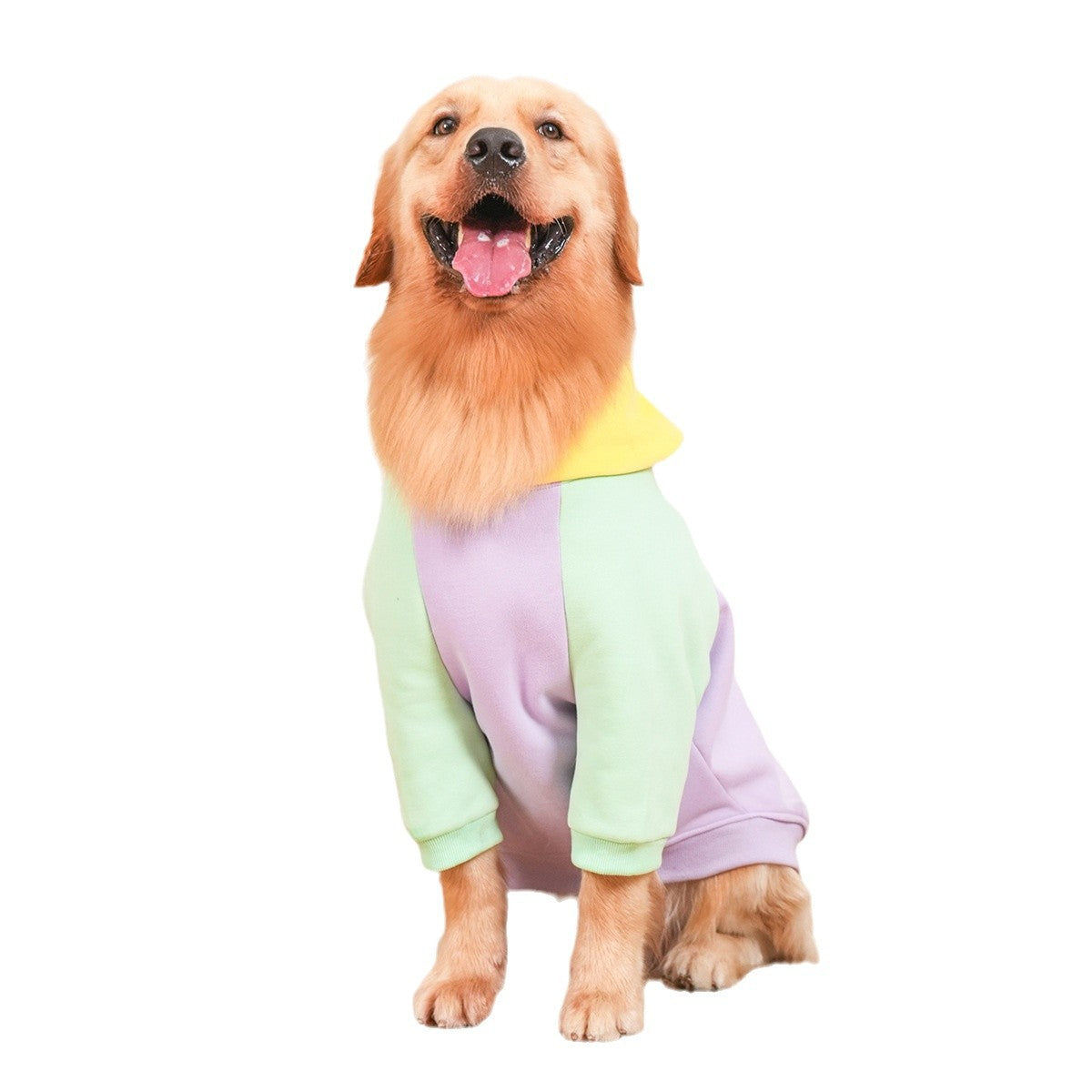 Pet Parent-Child Clothing Multicolor Hoodie Loose