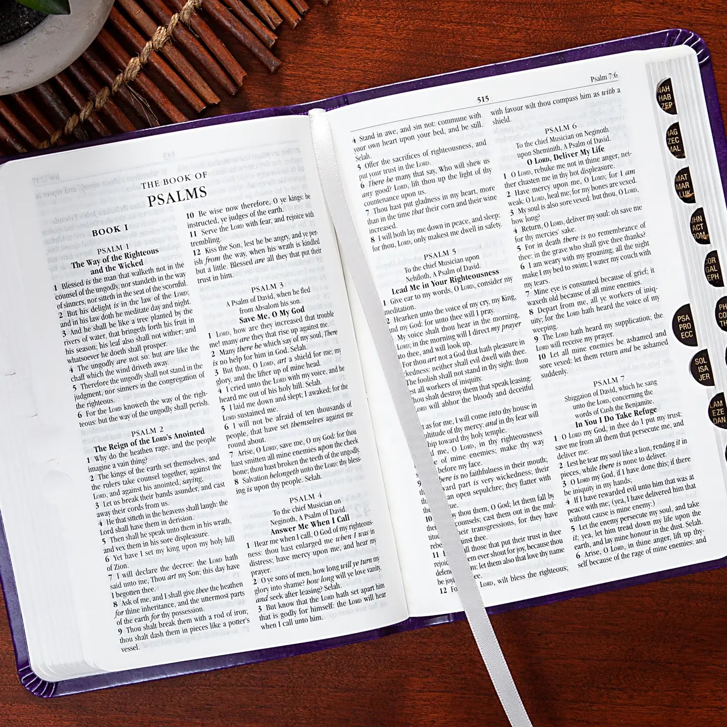 Vatican | The Holy Bible