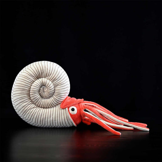 ammonite plush