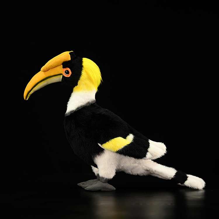 Fairy Zoo | Rhinoceros Hornbill