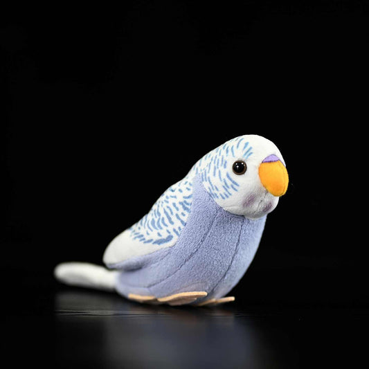 Fairy Zoo | Budgie