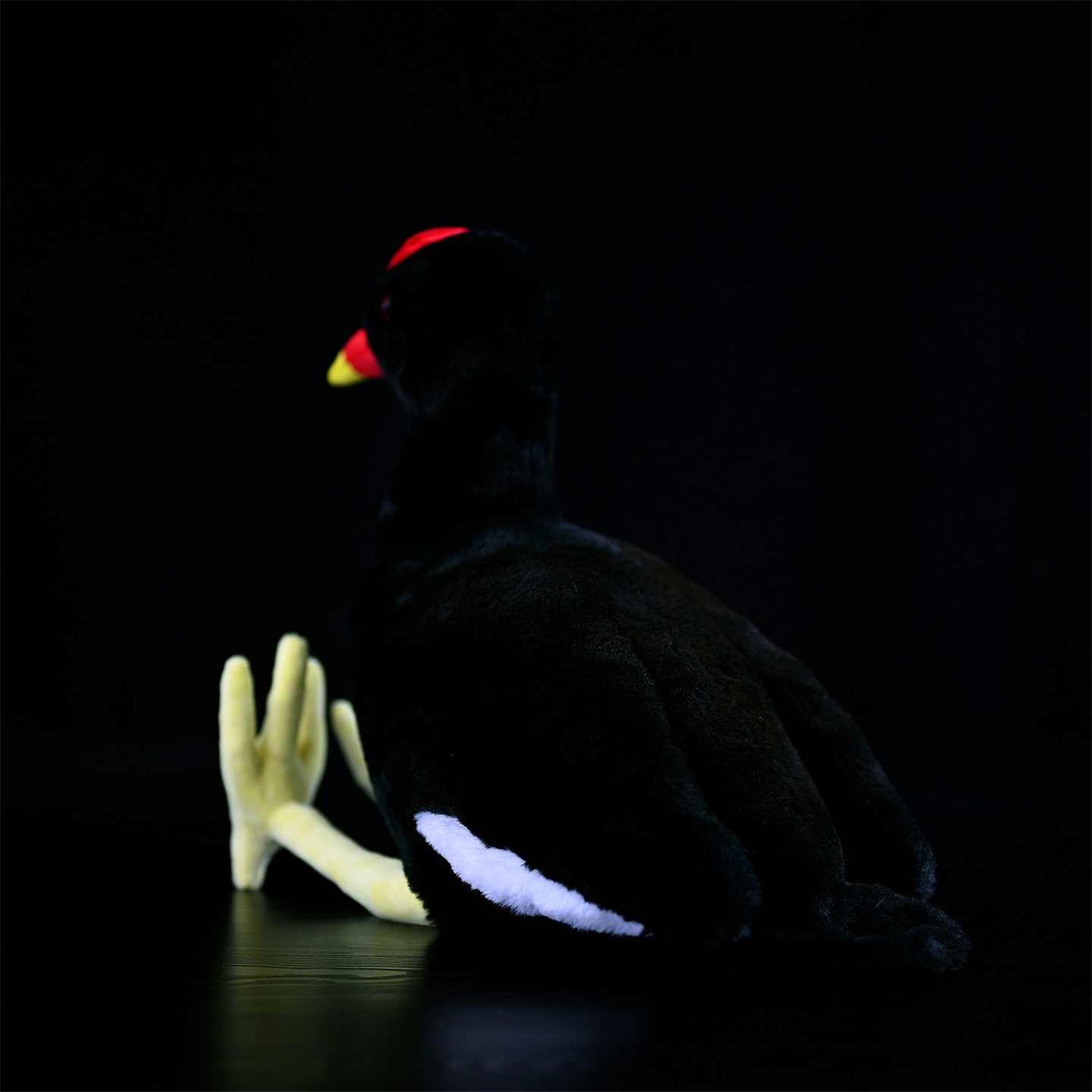 Fairy Zoo | Black Water Chicken