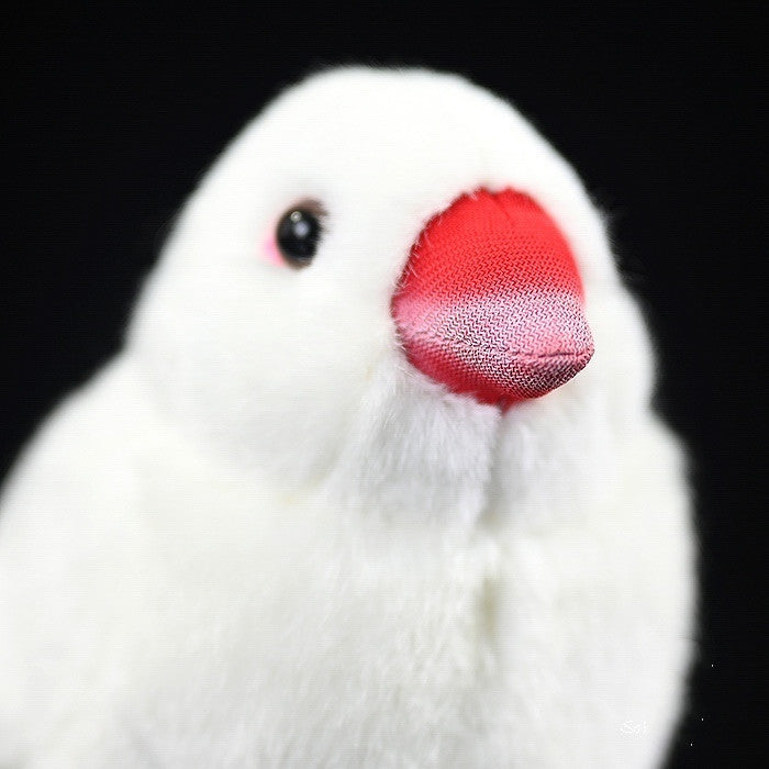 Fairy Zoo | White Mandarin Bird
