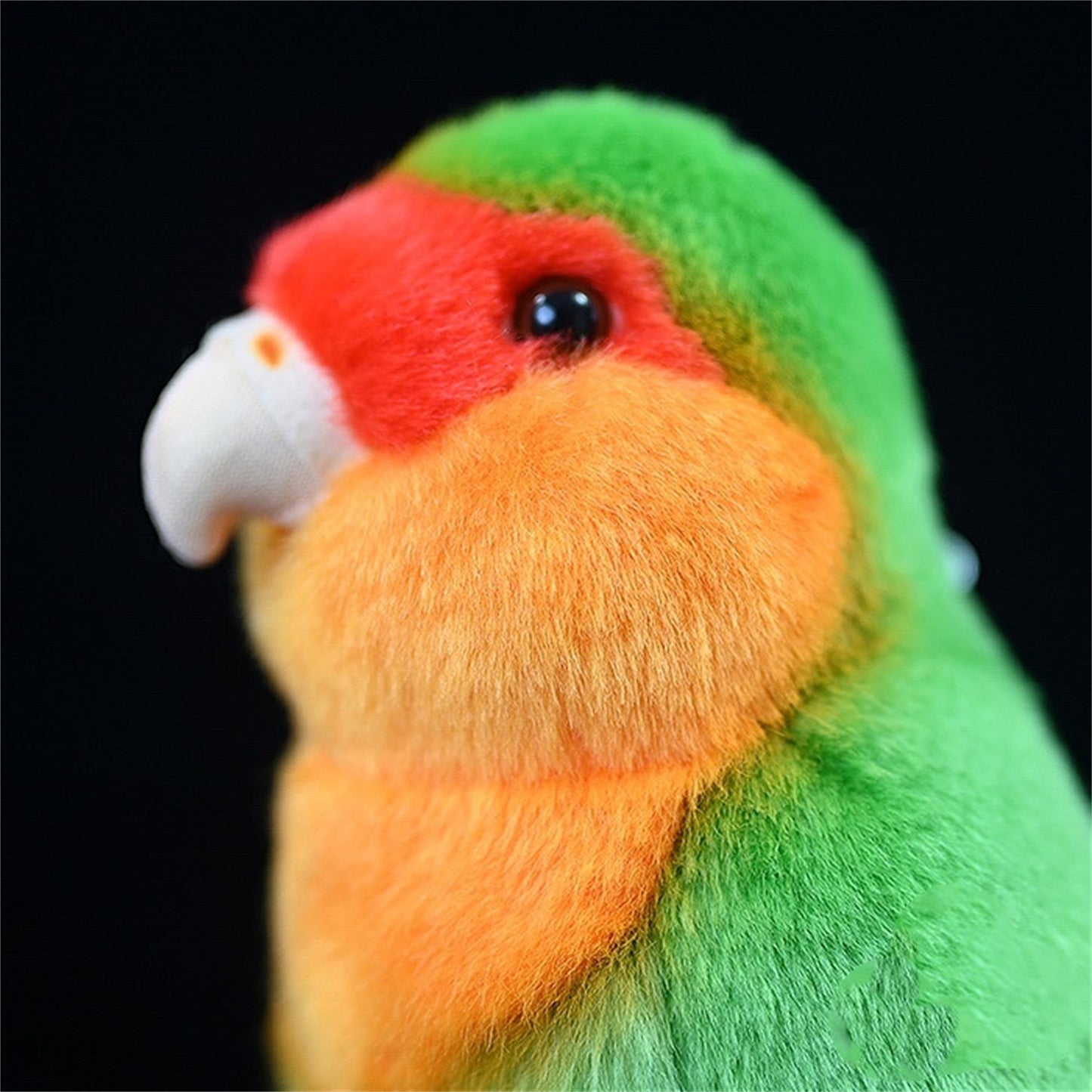 parrot plushy