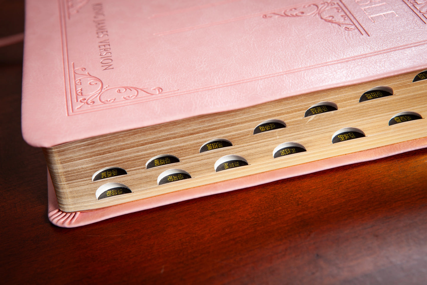 Vatican | The Holy Bible